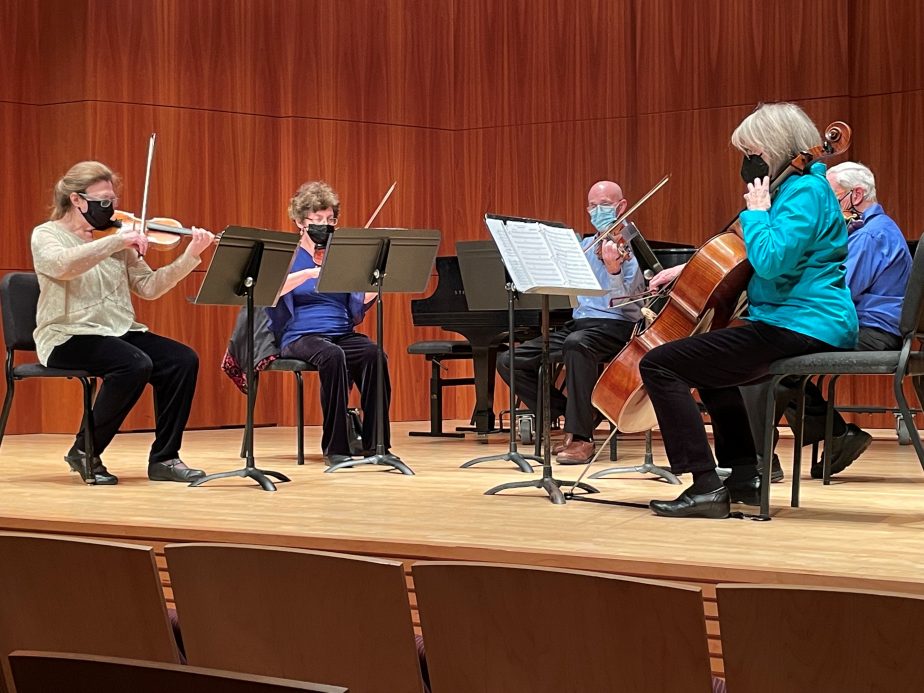 Adult Chamber Music group onstage